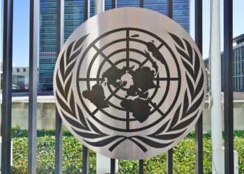 Central de Custódia assume compromisso junto à ONU