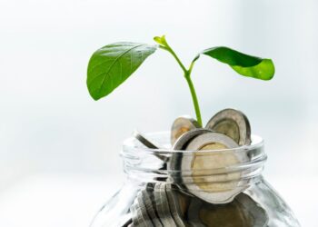 Iwá chega ao mercado para realizar gestão de ativos ambientais