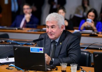 Projeto cria bolsa de iniciação científica para alunos da educação básica