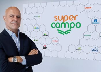 IA impulsiona precisão nas decisões do setor agrícola brasileiro 