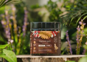 Marca pet planta árvores na Amazônia