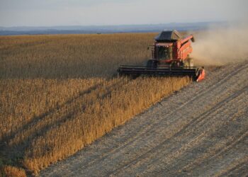 Produtos biológicos colaboram com a diminuição da pegada de carbono do campo
