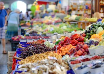 Mudanças climáticas exigem que Brasil adote sistema alimentar mais resiliente