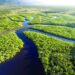 Fórum de ESG Amazônia mostra que negócios, pessoas e desenvolvimento sustentável precisam andar juntos
