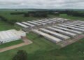 Granja Faria investe R$ 100 milhões em nova aquisição no Rio Grande do Norte