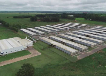 Granja Faria investe R$ 100 milhões em nova aquisição no Rio Grande do Norte