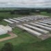 Granja Faria investe R$ 100 milhões em nova aquisição no Rio Grande do Norte