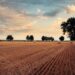 Como as mudanças climáticas afetam práticas agrícolas