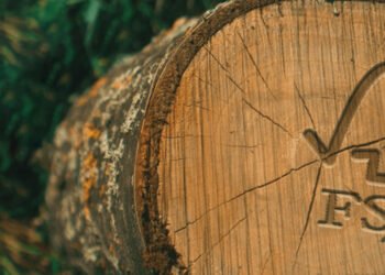 FSC Brasil lança curso que desmistifica solução integrada para a sustentabilidade