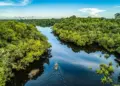 Fundo Amazônia anuncia R$ 150 milhões para acesso à água e inclusão produtiva