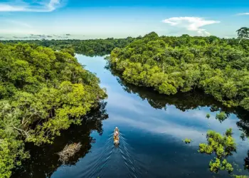 Fundo Amazônia anuncia R$ 150 milhões para acesso à água e inclusão produtiva