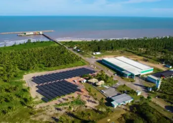 BNDES investe R$ 200 milhões em reflorestamento para produção sustentável 