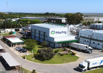 Marfrig reporta Ebitda ajustado de 2,9 bilhões e lucro líquido de 12 milhões de reais no quarto trimestre