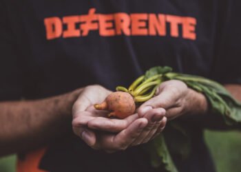 Foodtech brasileira garante retorno financeiro para pequenos agricultores