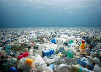 Tratado de Plásticos: empresas pedem por medidas ambiciosas