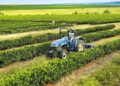 Agro já exportou R$ 28 bilhões em 2025; como se destacar na indústria rural