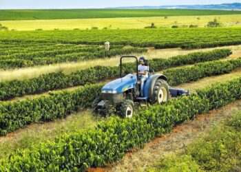 Agro já exportou R$ 28 bilhões em 2025; como se destacar na indústria rural