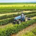 Agro já exportou R$ 28 bilhões em 2025; como se destacar na indústria rural
