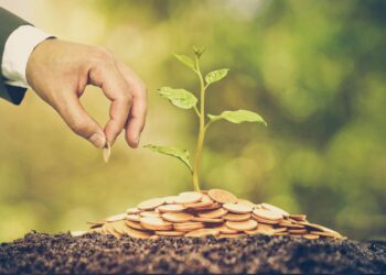 Valorizando o verde: o potencial dos ativos ambientais no setor financeiro