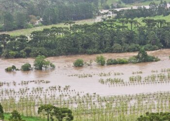 Destruição de lavouras no Rio Grande do Sul pode encarecer produtos
