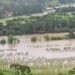 Destruição de lavouras no Rio Grande do Sul pode encarecer produtos
