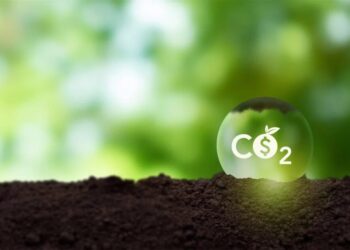 Brasil avança na regulamentação do mercado de carbono: entenda o impacto e as oportunidades