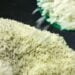 Governo vai subsidiar arroz importado para segurar preço