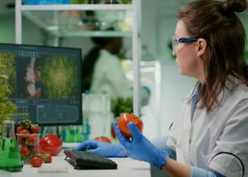 Eventos climáticos extremos exigem mais inovação da indústria de alimentos