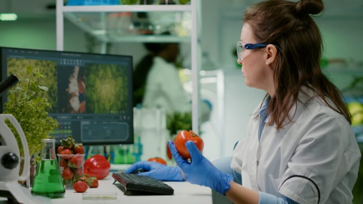 Pharmaceutical chemist examining tomato for microbiology experiment typing medical information on computer. Biochemist injecting healty vegetables with pesticides working in agriculture laboratory