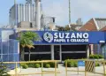 Ação da Suzano desaba em 10%