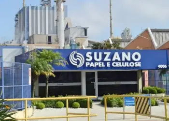 Ação da Suzano desaba em 10%