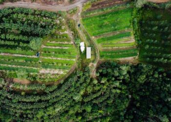 Investimentos em climate techs cresce 37,9%