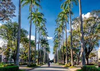 Turismo em Minas Gerais mantém crescimento sólido em 2024