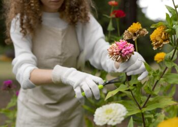 Marca nacional comprova que é possível produzir produzir agrícolas feitos com flores e frutas
