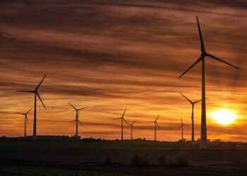 Setor de energia eólica registra aumento de fusões e aquisições