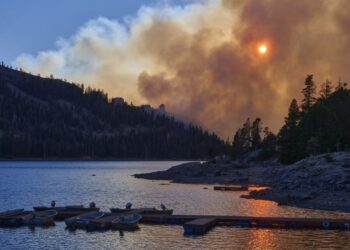 Se a mudança climática é a doença, a natureza é parte da cura. Tim Christophersen, Coordinator of UN Decade on Ecosystem Restoration