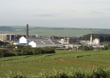 São Martinho registra lucro líquido de R$ 627,3 milhões