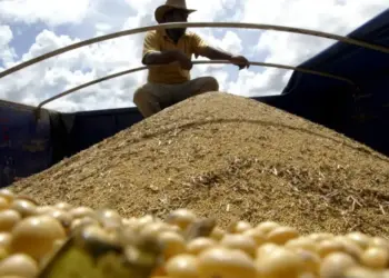 PIB do agronegócio em MG cresceu 5,9%