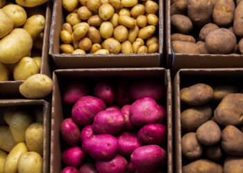 IPCA de maio acelera para 0,46%, diz IBGE