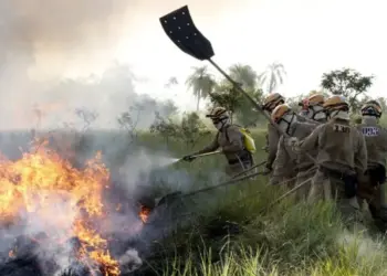 MS declara emergência em municípios atingidos por incêndios florestais