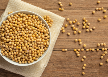 Mercado brasileiro de sementes deve crescer 8% ao ano até 2027