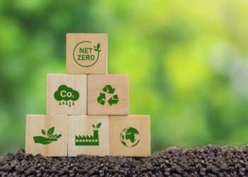 O papel dos créditos de carbono: desenvolvimento econômico e a preservação ambiental