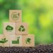 O papel dos créditos de carbono: desenvolvimento econômico e a preservação ambiental