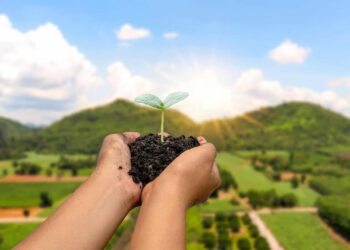 20 anos da sigla ESG: como empresas aplicaram o conceito de forma prática em seus negócios