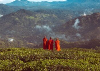 TRANSFORMANDO M…..A EM ADUBO!