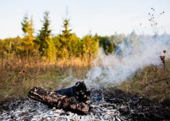 Trabalho integrado entre governo e MPMS intensifica fiscalização de incêndios no Pantanal