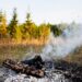 Trabalho integrado entre governo e MPMS intensifica fiscalização de incêndios no Pantanal