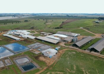 Produção de biogás gera economia de R$ 1 milhão por ano