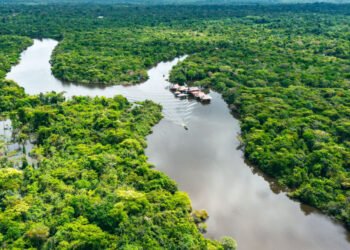 Criando Valor Sustentável