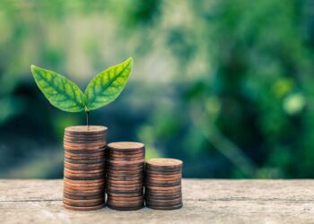 Tax ESG: Reforma Tributária pode apontar para uma nova era na gestão do meio ambiente no Brasil